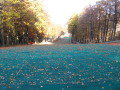 IMG-1952.JPG