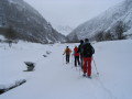 IMG_4524.JPG