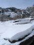 IMG_4530.JPG