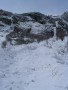 IMG_4531.JPG