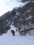 IMG_4535.JPG
