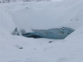 IMG_4543.JPG