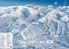 Borovec s�t�rk�p