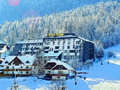 Hotel Alpina