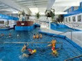 Tropikana Water Park