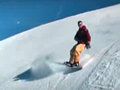 Levi kérdi: snowboard vagy sí? Döntsd el te!