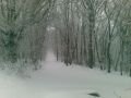 S�el�s a Normaf�n�l 2010.01.06.  I. vide�