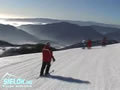 Aflenz - B�rgeralm