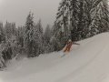 Sankt Johann - Alpendorf, Freeride - 10.0&nbsp;/&nbsp;1