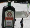 Brunnalm, Alm Platsch 2010