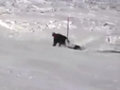 Extreme carving snowboarddal