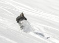 Tour de Freeride, Kaprun  2010