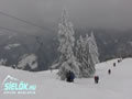 Golte, 2009. febru�r
