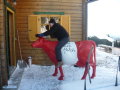 Lachtal 2010 december