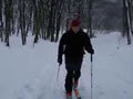A Nagy-Hideg-hegy megh�d�t�sa t�ras�vel