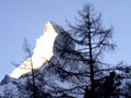 Zermatt 1