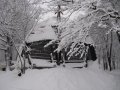 Dobog�k�: k�pek a szezon els� hazai s�el�s�r�l!