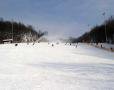 Szombatt�l m�r B�csben is lehet s�elni