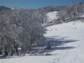 Lassan beindulnak a bosny�k s�terepek is