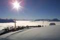 Davos programok, esem�nyek 2006/2007