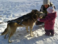 Nemzetk�zi kutyasz�nhajt� verseny lesz Galyatet�n