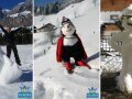 H�ember-�p�t� verseny a Hochk�nig S�r�gi�ban
