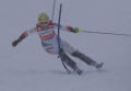 Lenzerheid�ben v�get �rt az idei S� Vil�gkupa