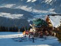 �jabb l�zer s�l�ctolvaj bukott le Schladmingban