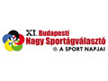 J�nius elej�n lesz a jubileumi Nagy Sport�gv�laszt�!