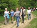 Nordic Walking t�r�k a Fogarasi S�iskol�val