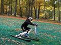 S�t�bor lesz az �szi sz�netben S�toralja�jhelyen