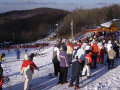 Rekordsz�m� l�togat� a M�traszentistv�ni S�parkban