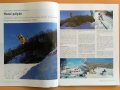 S�terepek Magyarorsz�gon: Hazai p�ly�n