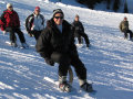 Ski-fox