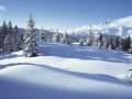 A Ski Amad� vend�gei voltunk