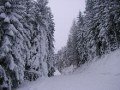 Szezonnyit� s�z�s Semmeringen 2005