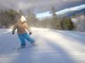 A kicsi legy�zte a nagyokat Amerik�ban