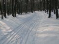 Vasf�gg�ny S�fut�p�lya a Soproni-hegys�gben
