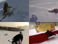 Vide�k vicces es�sekr�l