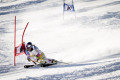 Vonn �lete els� �ri�sm�lesikl� Vil�gkupa gy�zelme