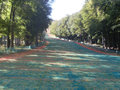 A Zempl�nben z�rul a Magyar Kupa