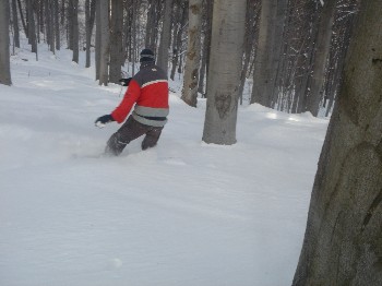 Freerider a M�tr�ban